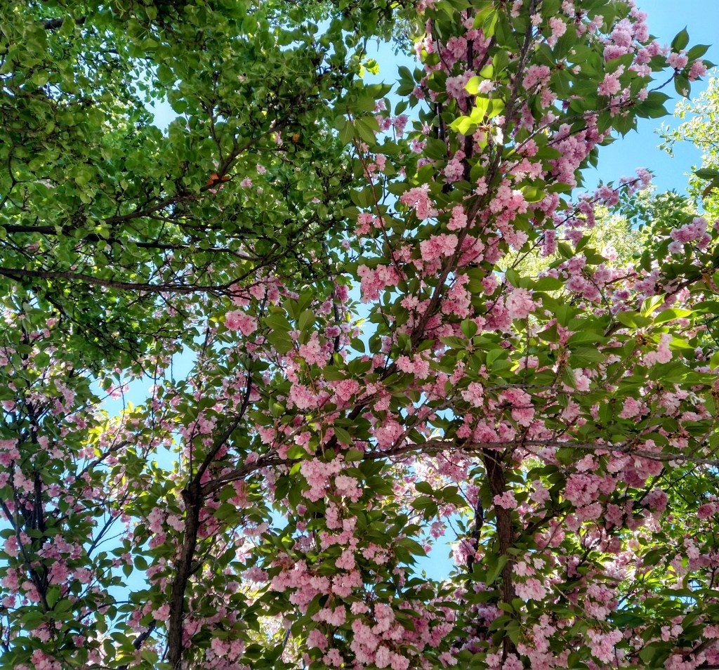 You Followed My&nbsp;Lead