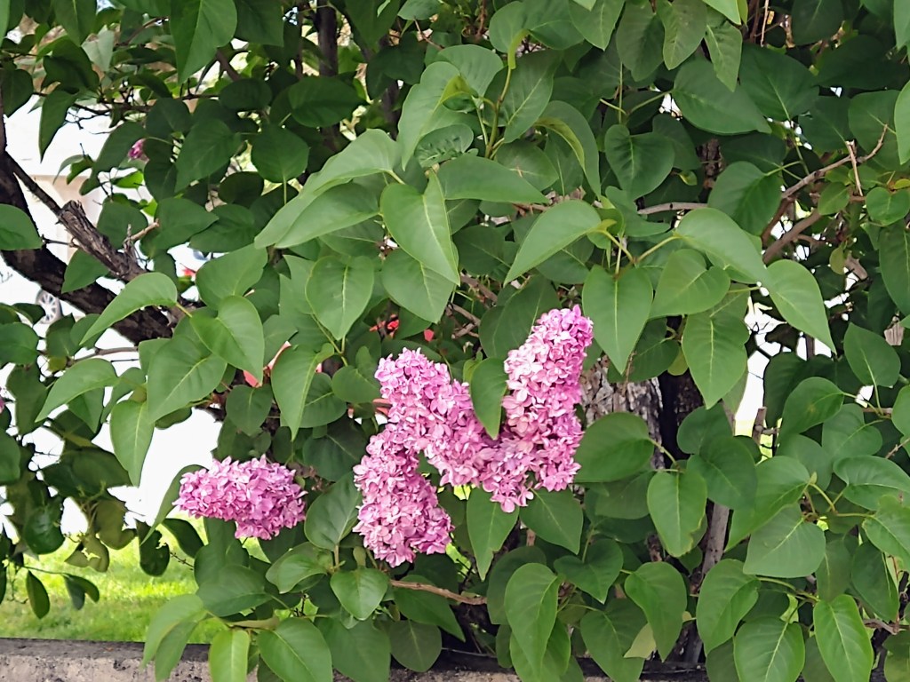 It’s Ok to&nbsp;Smile!