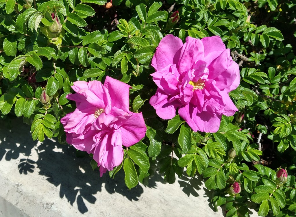 You Are My&nbsp;Destination!