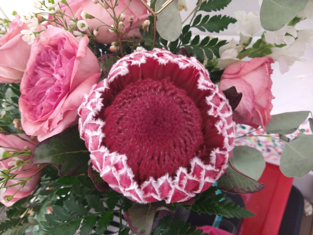 You are the Brightness&nbsp;Lord!